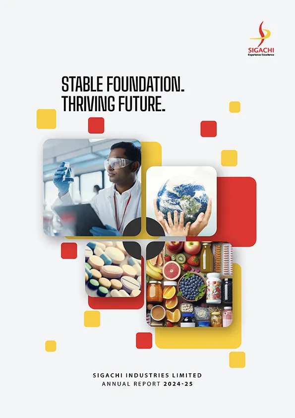 Sigachi annual report cover